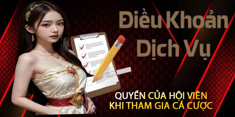 Điều Khoản Dịch Vụ