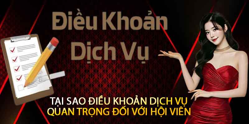 Điều Khoản Dịch Vụ